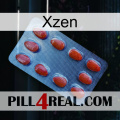 Xzen 06